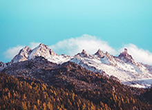 九游体育：与你一起探寻体育世界的智慧娱乐平台